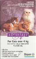 Advantage for Cats